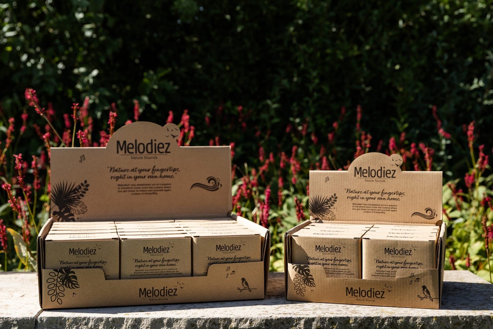 Beste Nature Box in België: prijzen & reviews