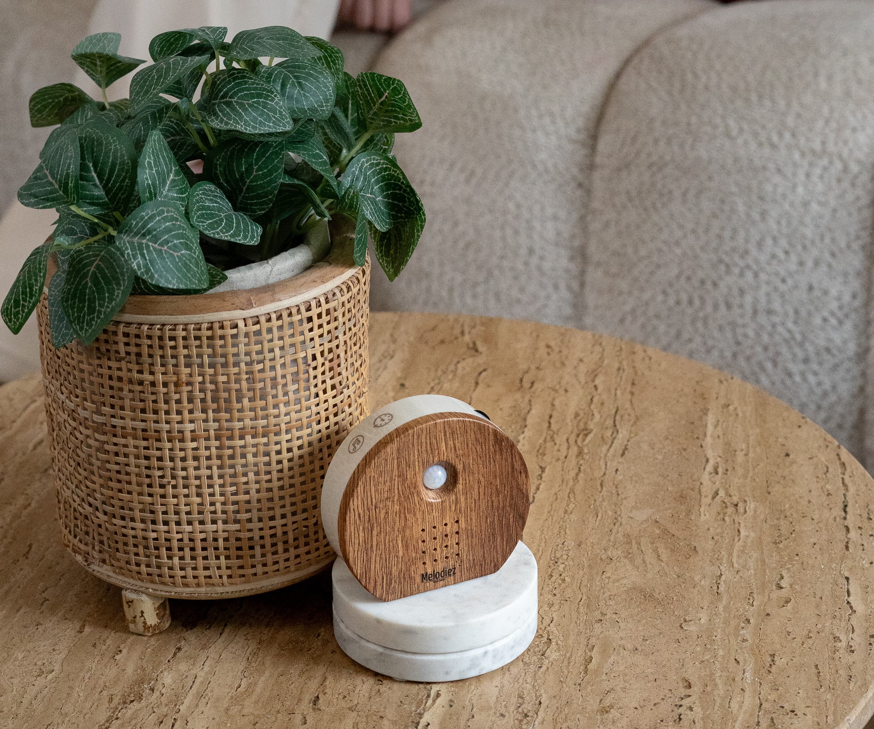 Melodiez Nature Box in de woonkamer – het Zwitscherbox alternatief