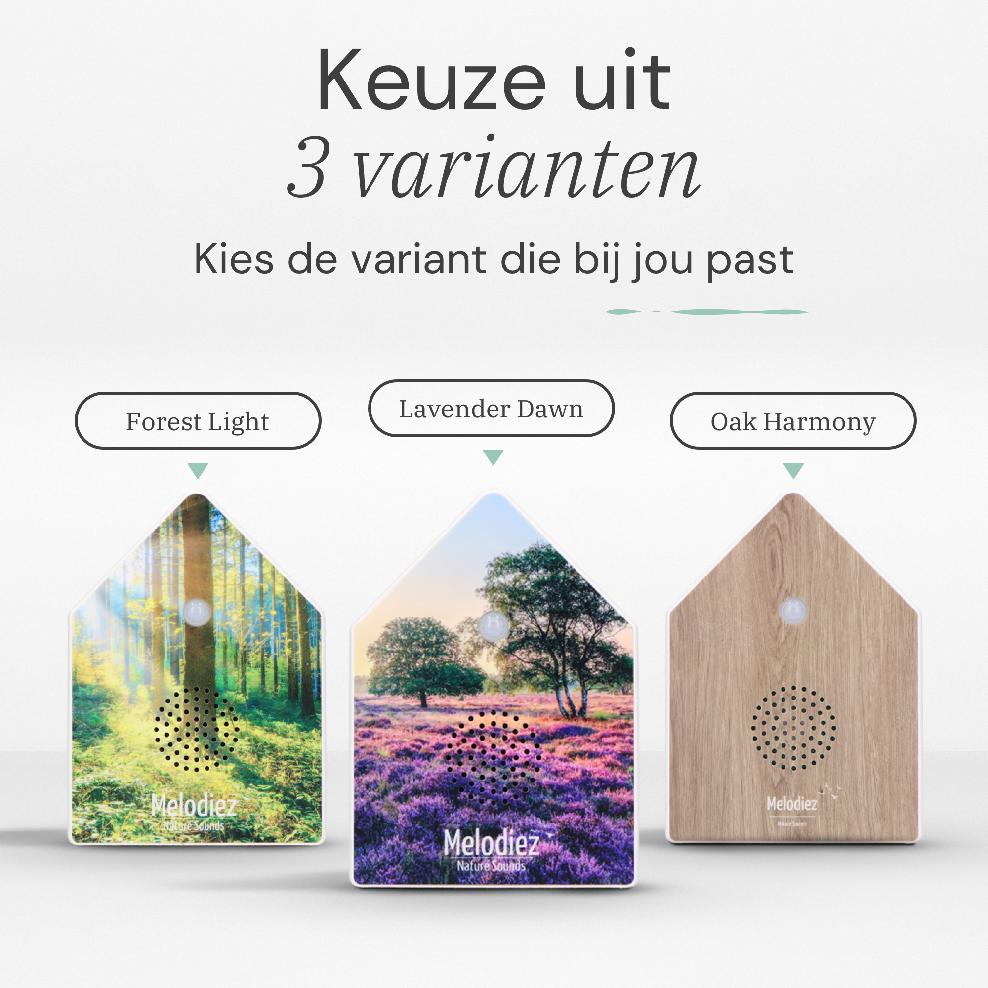 Melodiez Nature Box Forest Light: Beschikbare varianten