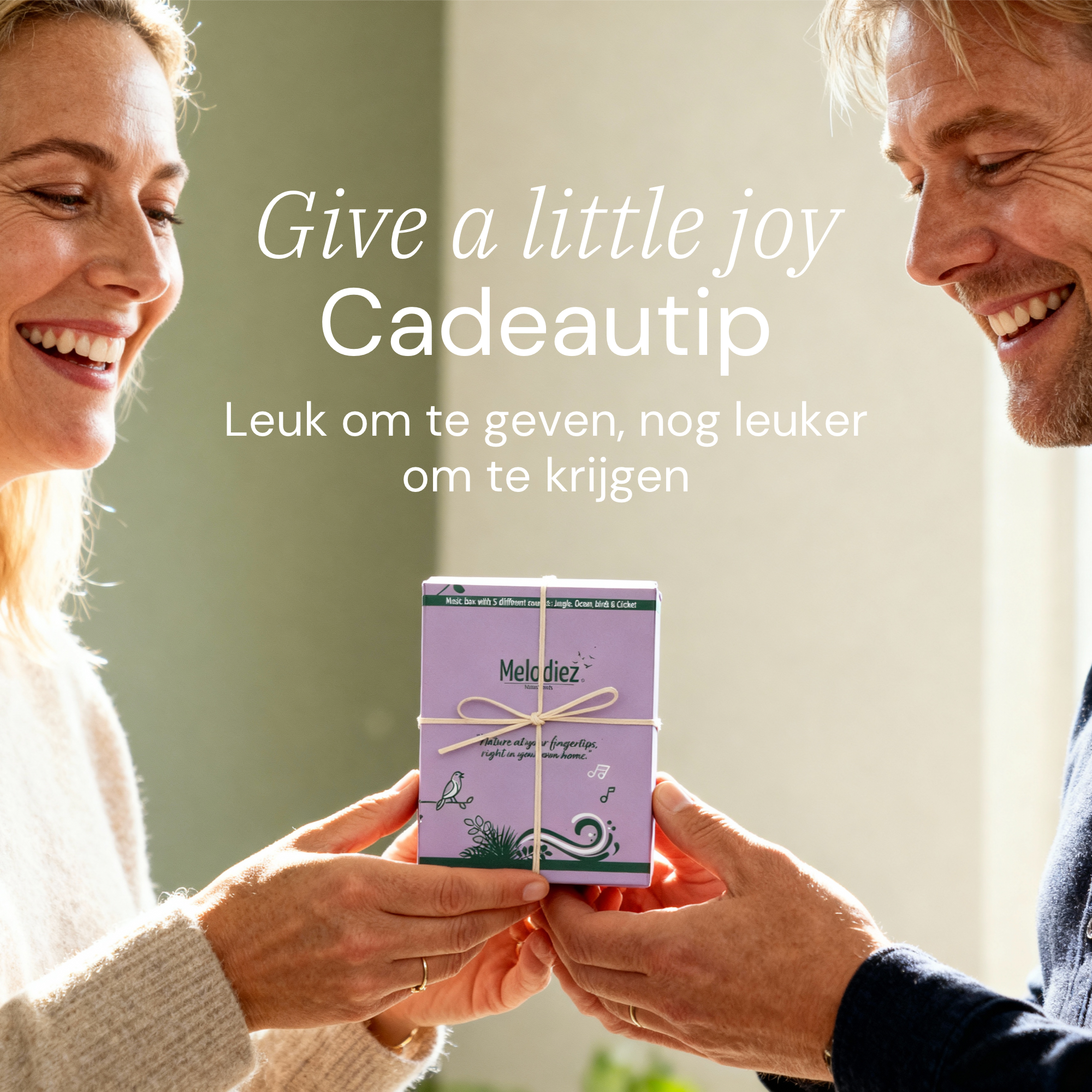 Melodiez Nature Box Lavender Dawn: Luxe cadeauverpakking