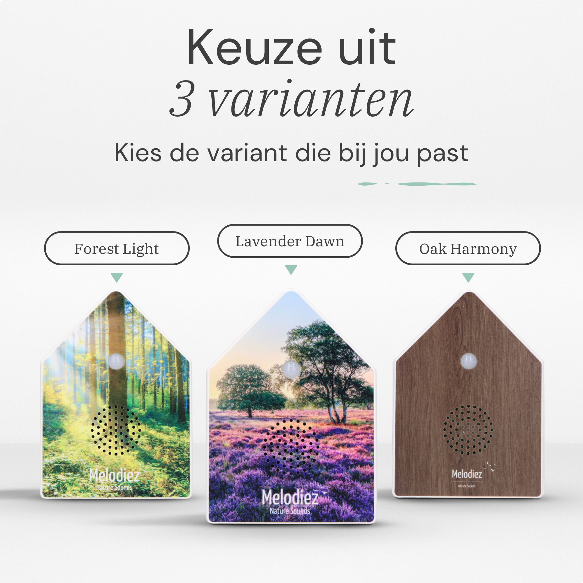Melodiez Nature Box Oak Harmony: Beschikbare varianten